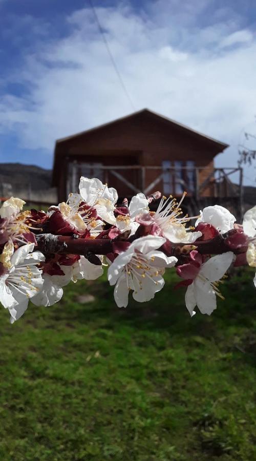 Bed and Breakfast Sol De La Patagonia Puerto Guadal Exteriér fotografie